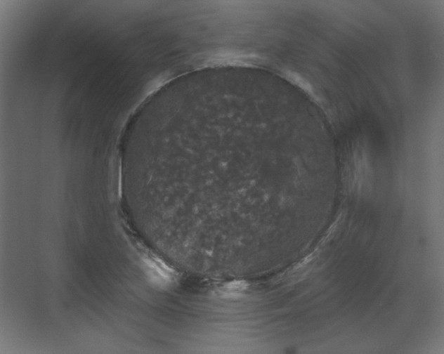 X0000070861219200606191308