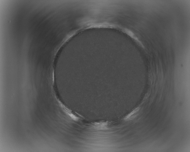 X0000070861221200606191308