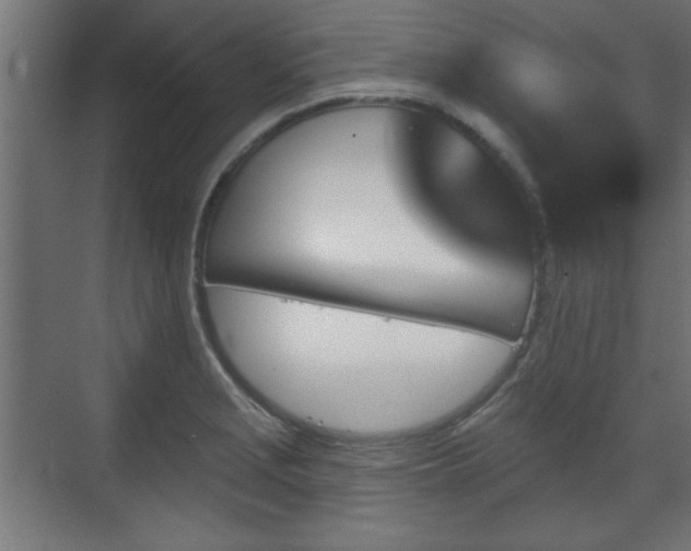 X0000070861229200606191308