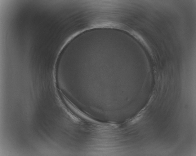 X0000070861230200606191308