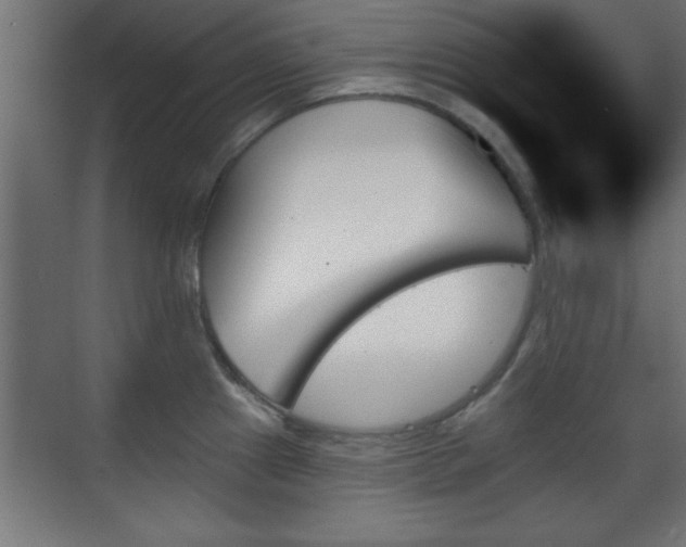 X0000070861241200606191308
