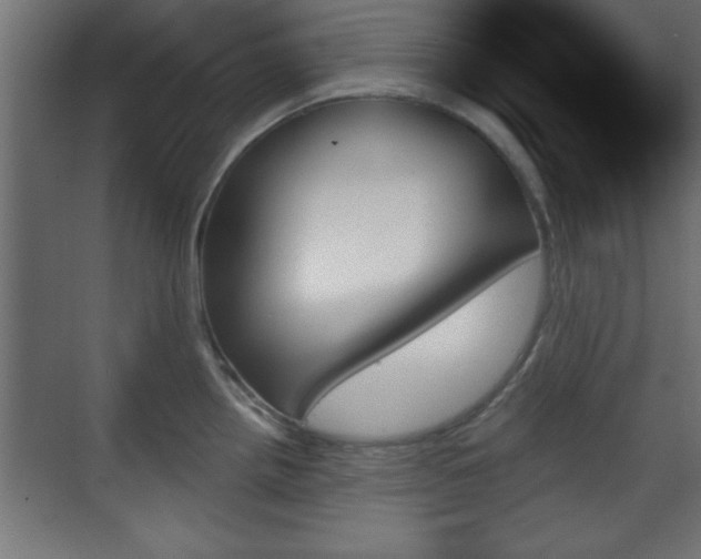 X0000070861242200606191308