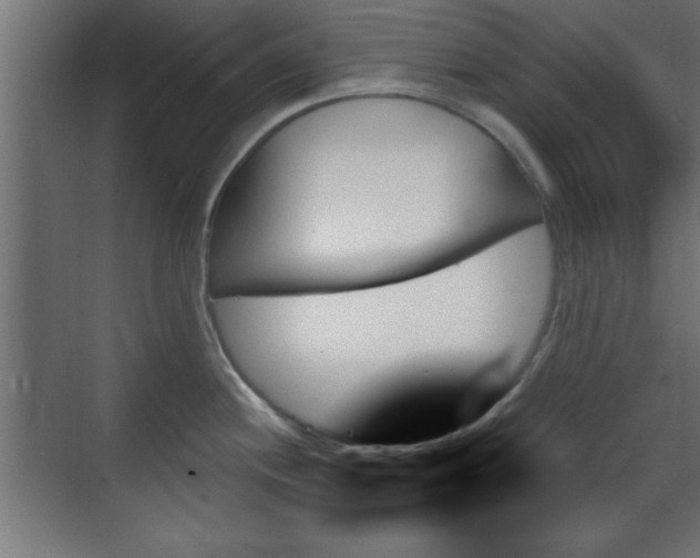 X0000070861244200606191308