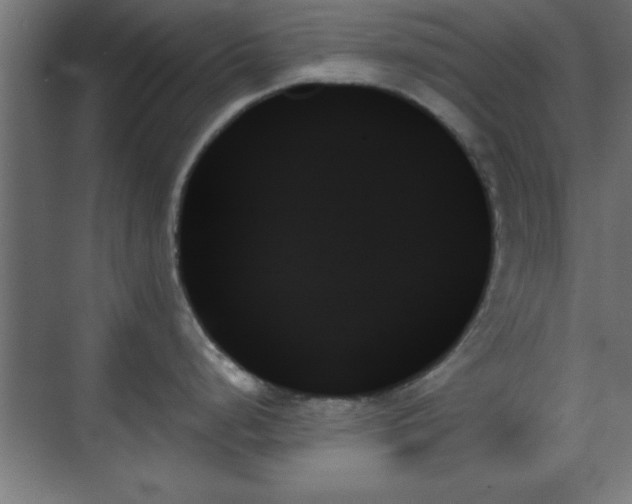 X0000070861248200606191308