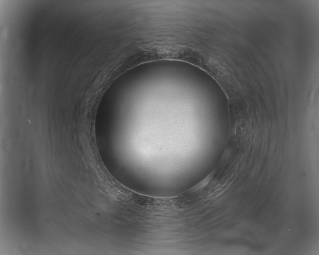 X0000070861249200606191307