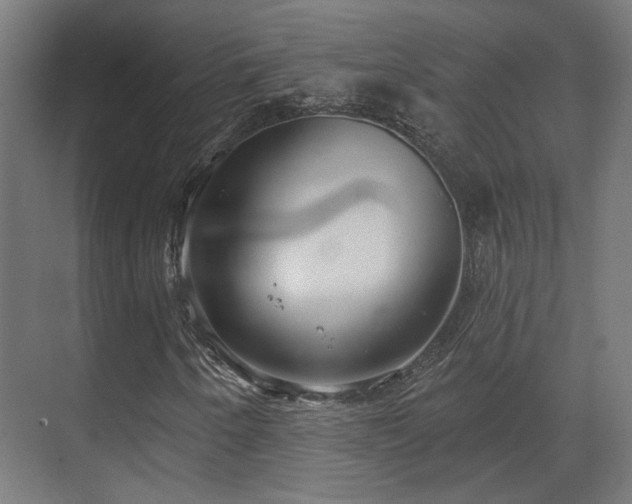 X0000070861250200606191307