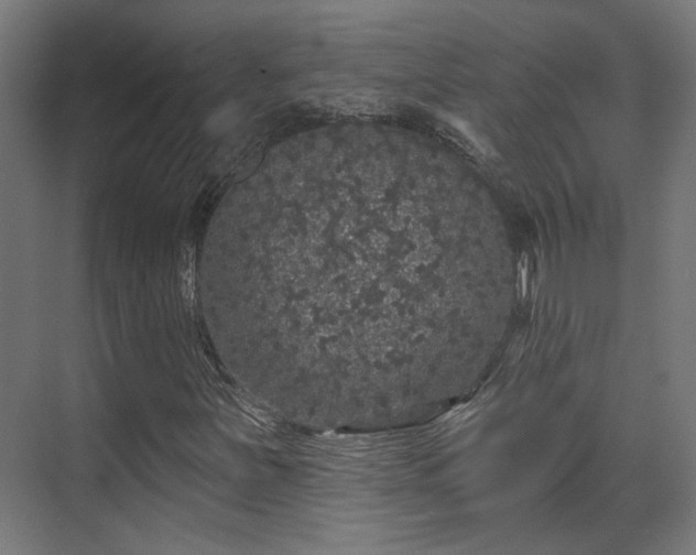 X0000070861251200606191307