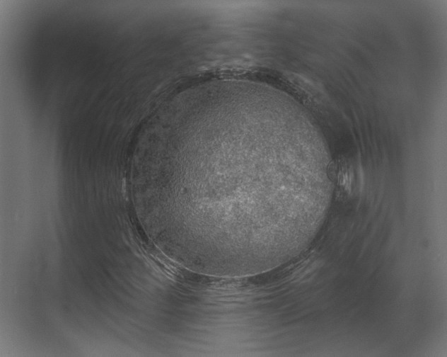 X0000070861252200606191307