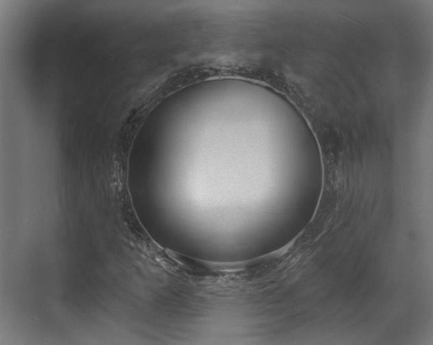 X0000070861253200606191307