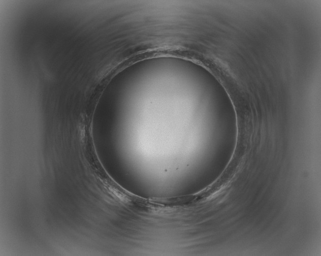 X0000070861257200606191307