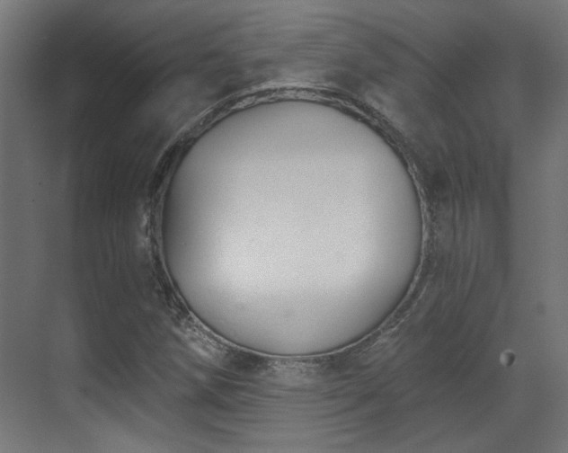 X0000070861258200606191307