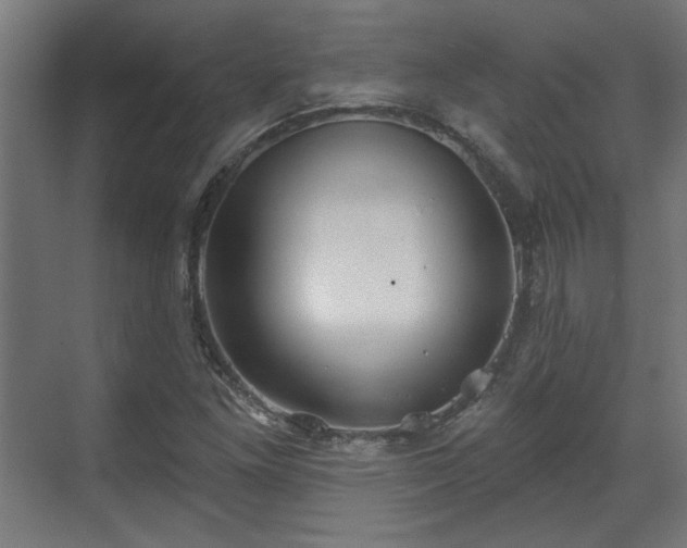 X0000070861261200606191307