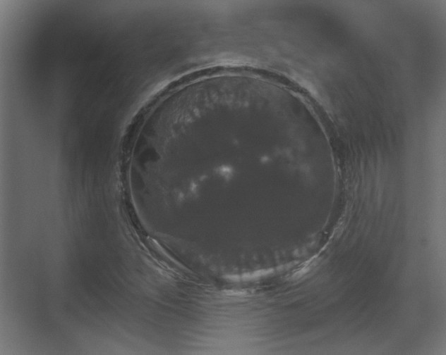 X0000070861263200606191307