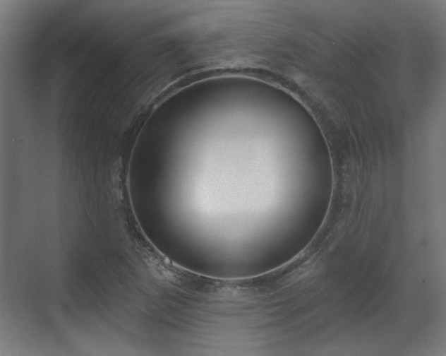 X0000070861265200606191307
