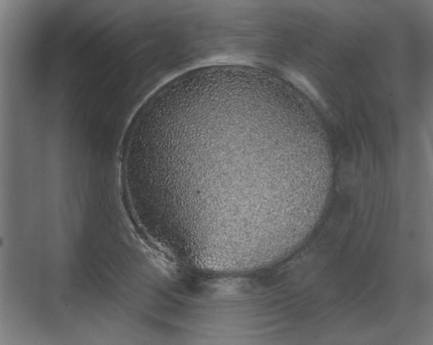 X0000070861268200606191307