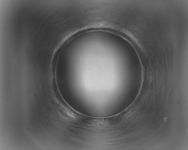 X0000070861270200606191307