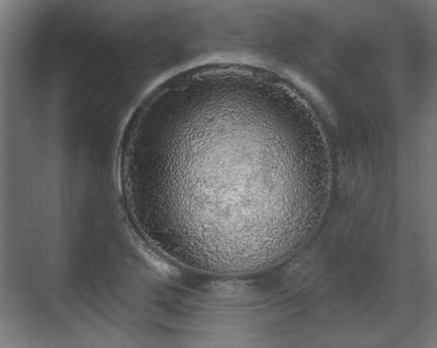 X0000070861272200606191307