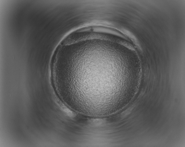 X0000070861280200606191307