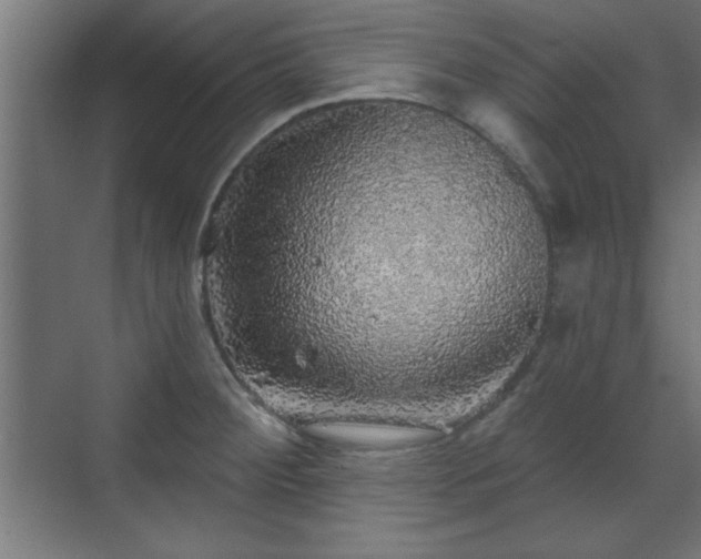 X0000070861284200606191307