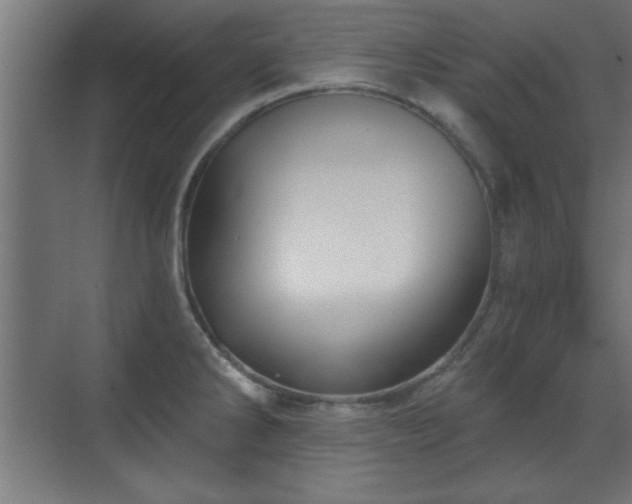 X0000070861286200606191307