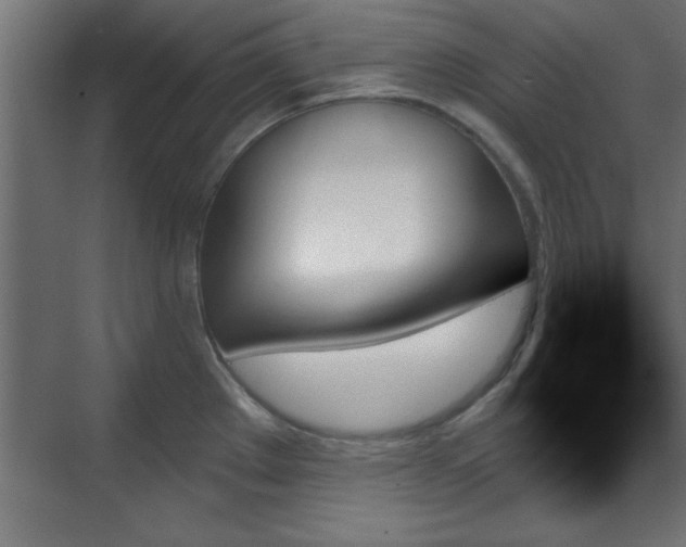 X0000070861289200606191307