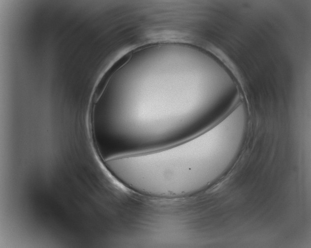 X0000070861293200606191306