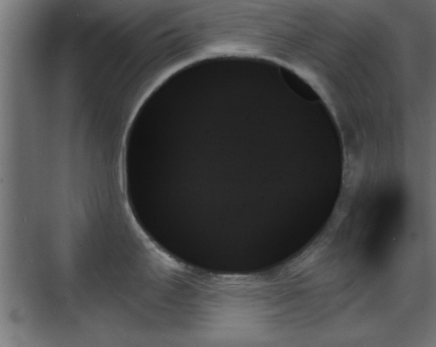 X0000070861295200606191306