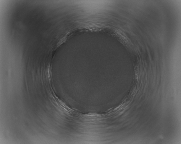 X0000070861298200606191306