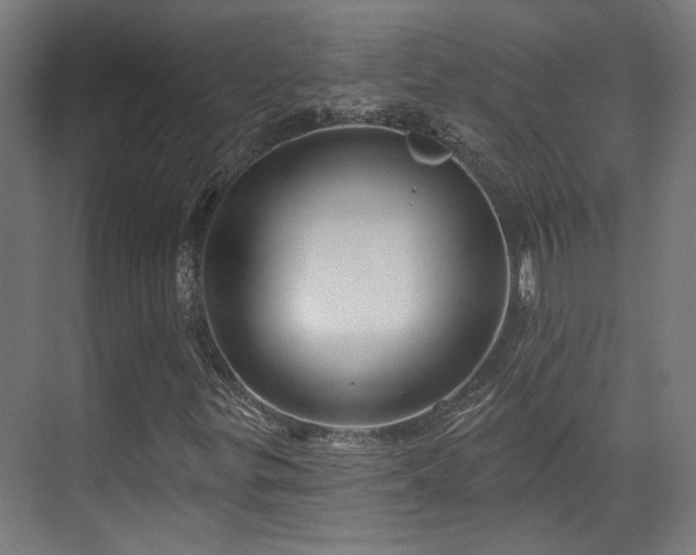X0000070861299200606191306