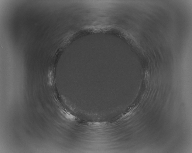X0000070861300200606191306