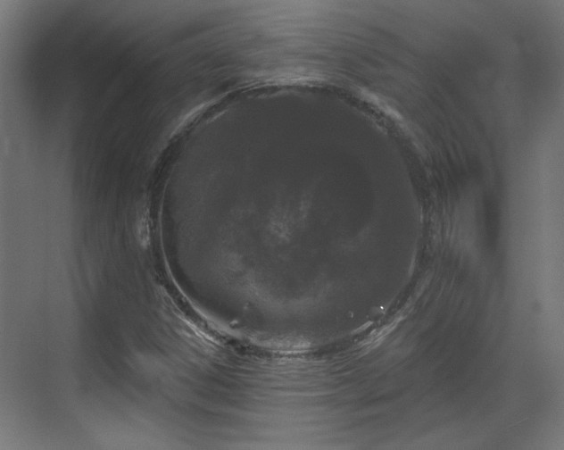 X0000070861306200606191306