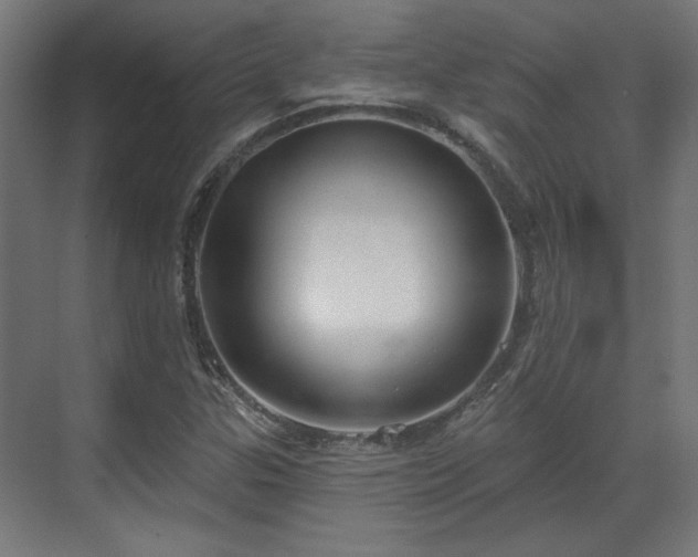 X0000070861307200606191306