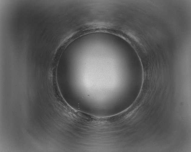 X0000070861309200606191306