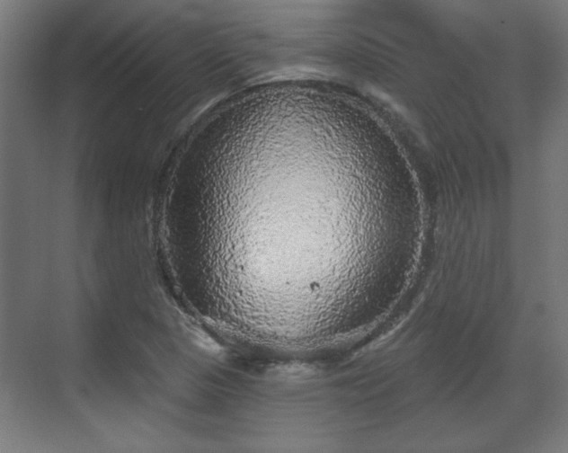X0000070861313200606191306