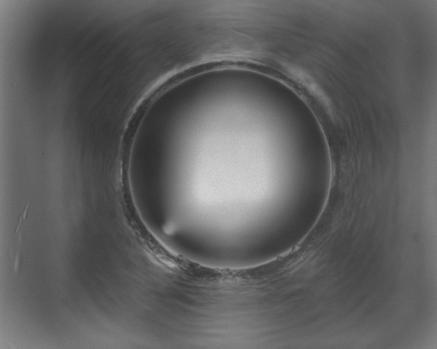 X0000070861316200606191306