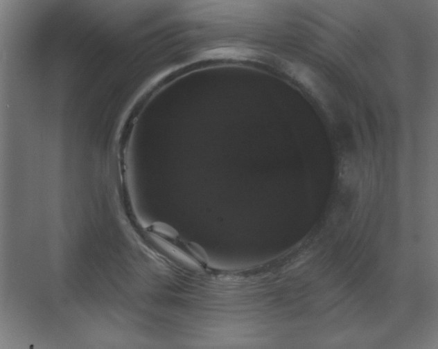 X0000070861323200606191306