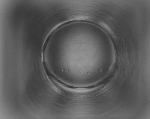 X0000070861324200606191306