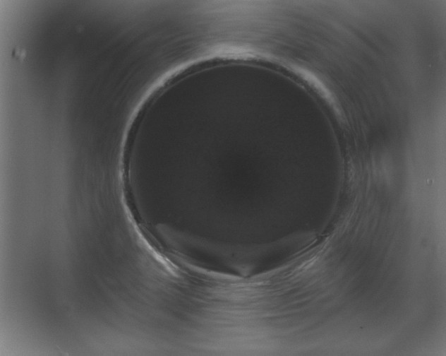 X0000070861327200606191306
