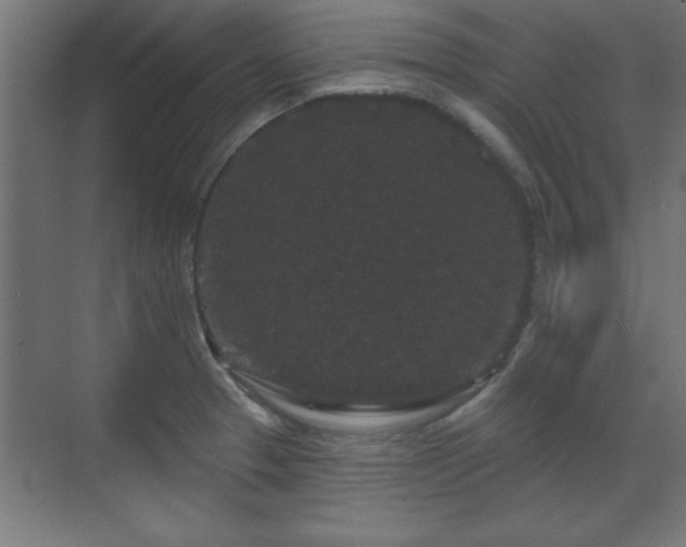 X0000070861329200606191306
