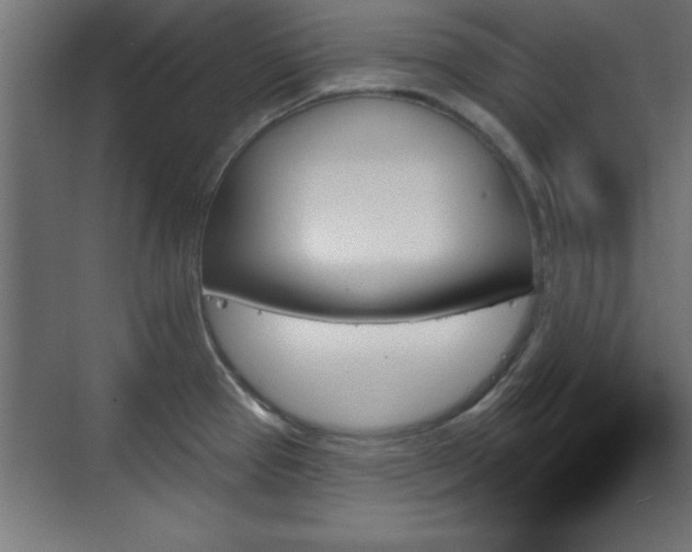 X0000070861337200606191306
