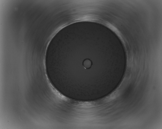 X0000070861338200606191306