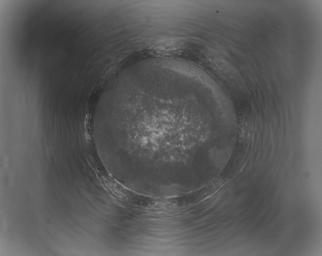 X0000070861346200606191306