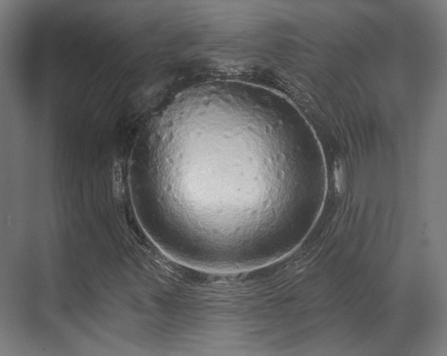 X0000070861347200606191306