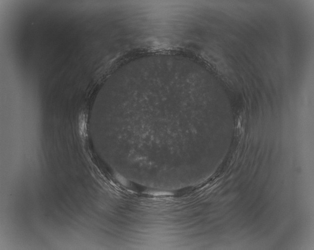X0000070861348200606191306