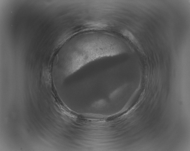 X0000070861354200606191305