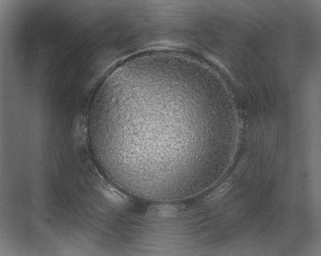 X0000070861355200606191305