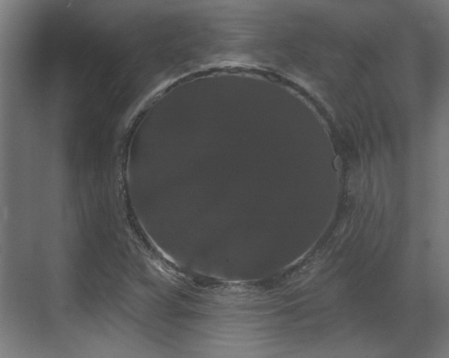 X0000070861359200606191305