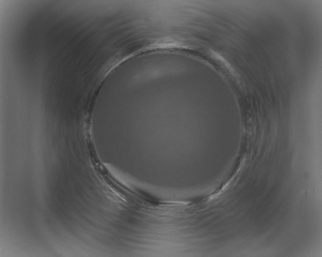 X0000070861361200606191305
