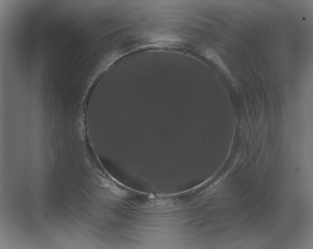 X0000070861362200606191305