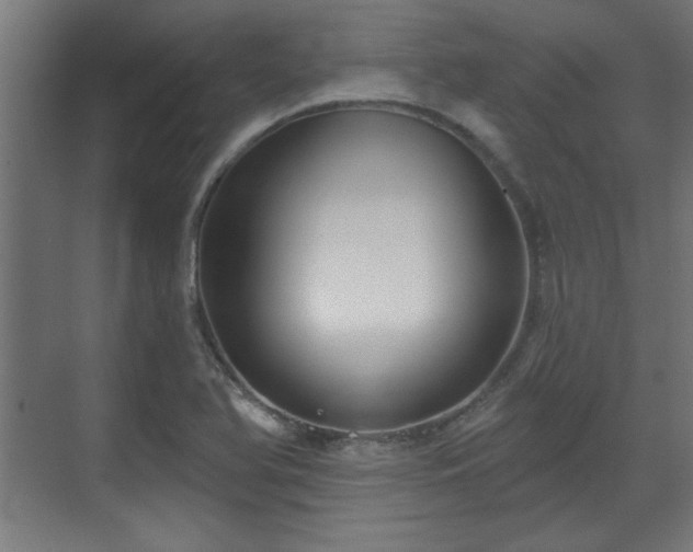 X0000070861366200606191305